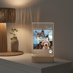 mockup lampa 12